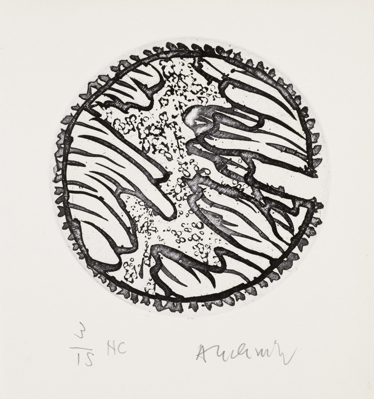 Image:
                        Lot 983