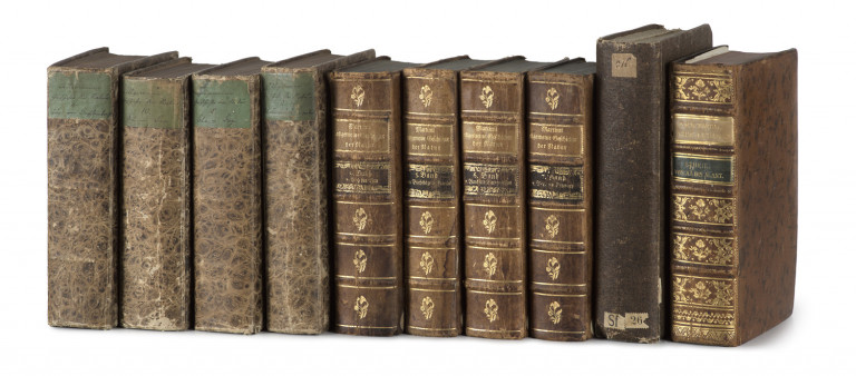 Image:
                        Lot 1272