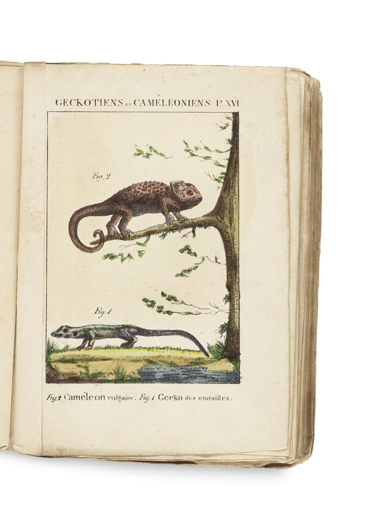 Image:
                        Lot 1367