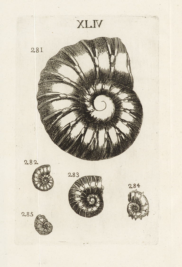 Image: 2