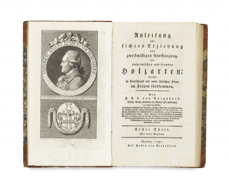 Image: 1