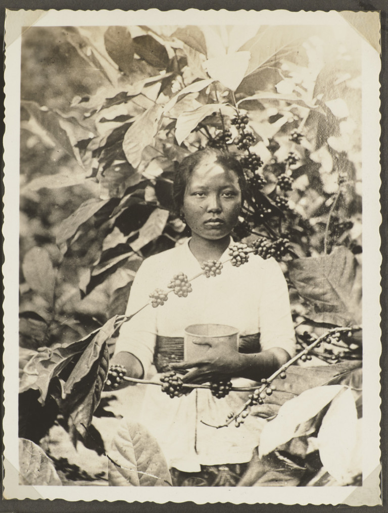 Image:
                        Lot 1670