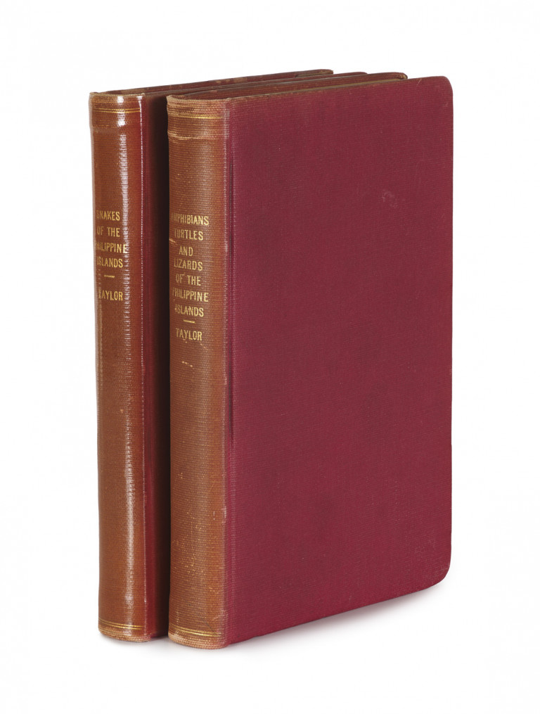 Image: 1
