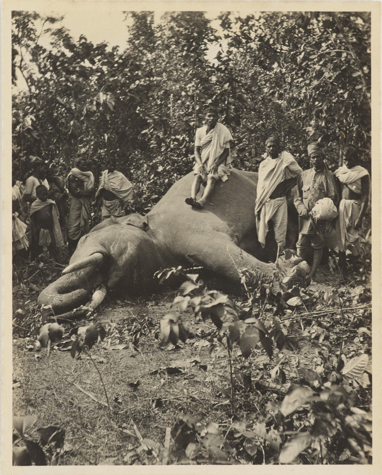 Image:
                        Lot 1713