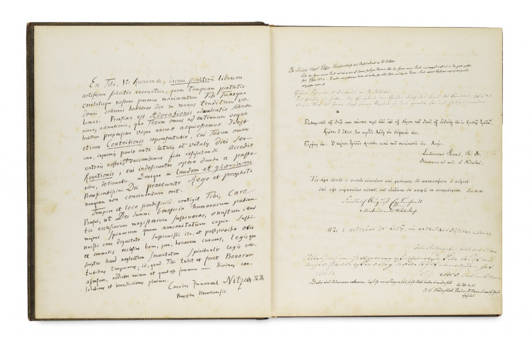 Image:
                        Lot 91