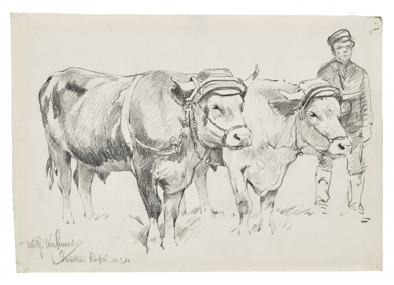 Image:
                        Lot 1441