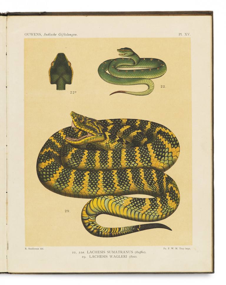 Image: 1