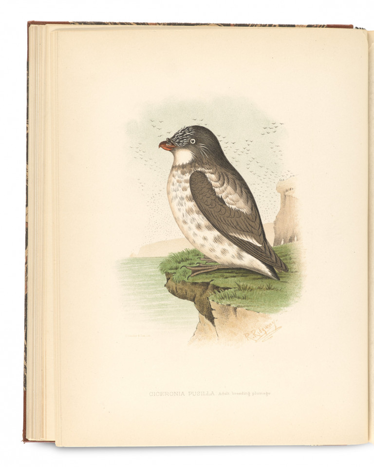 Image: 1