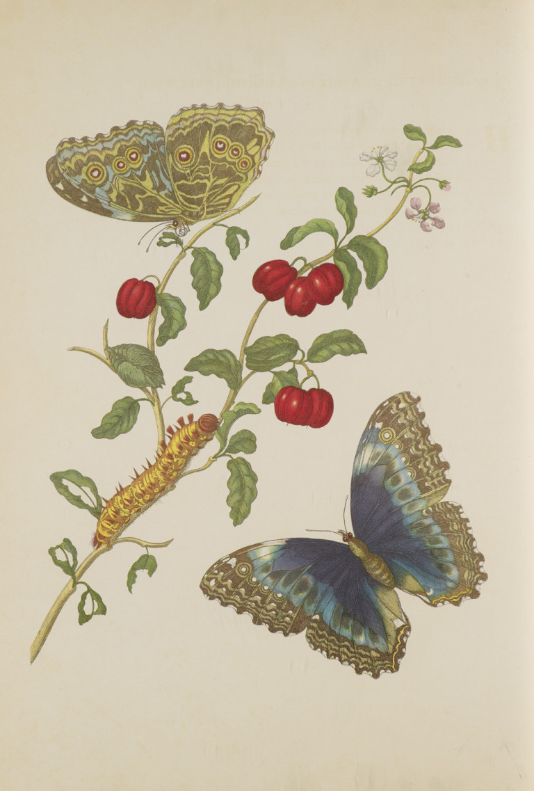 Image:
                        Lot 254