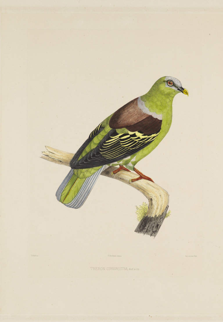 Image:
                        Lot 1432