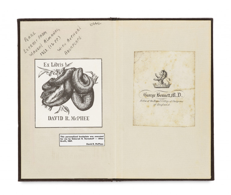 Image:
                        Lot 1365