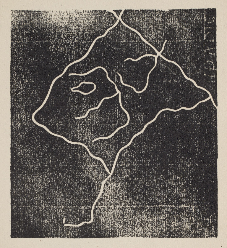 Image:
                        Lot 535