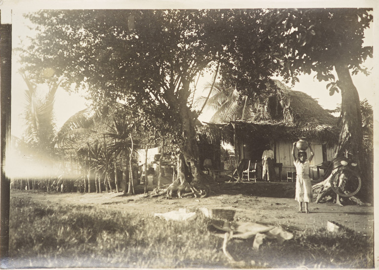 Image: 2