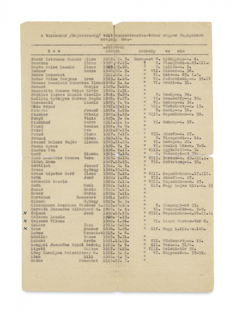Image:
                        Lot 446