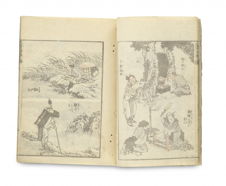 Image:
                        Lot 481