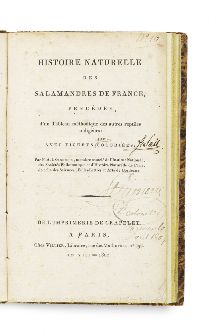 Image: 1