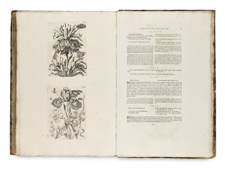 Image:
                        Lot 1344
