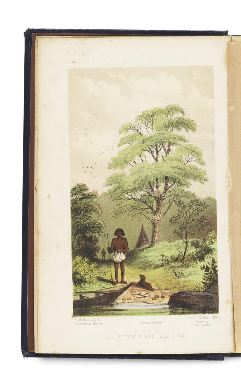 Image: 2