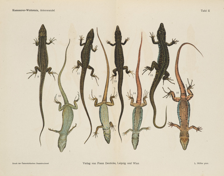 Image:
                        Lot 1342