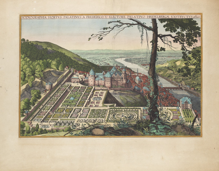 Image:
                        Lot 1874