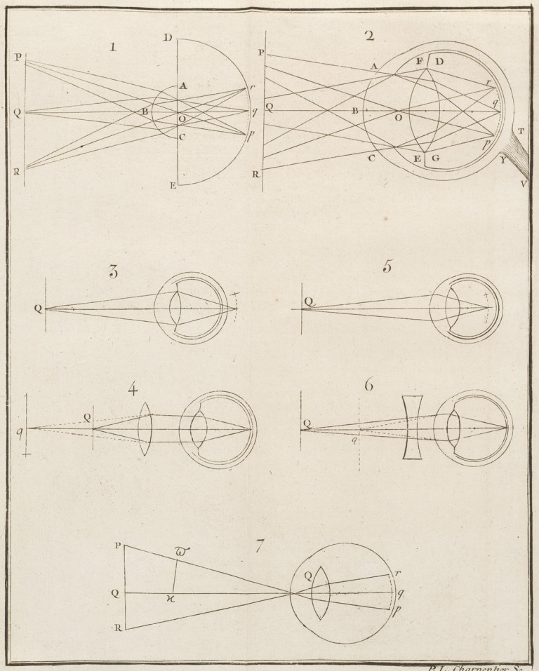 Image:
                        Lot 1330