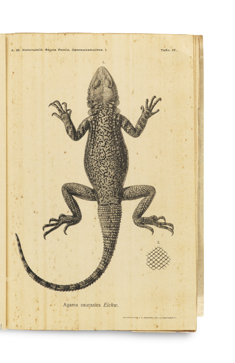 Image:
                        Lot 1382