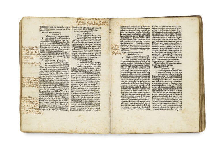 Image:
                        Lot 29