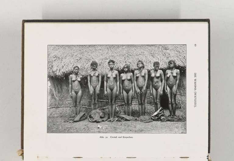 Image:
                        Lot 1481