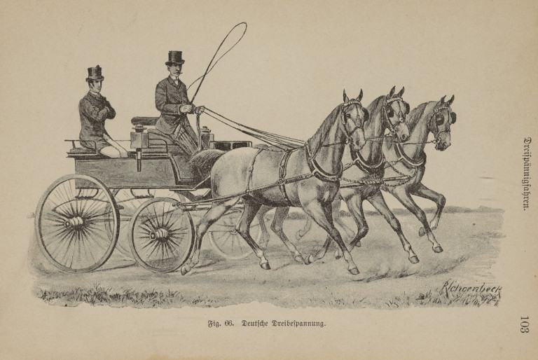 Image:
                        Lot 1933