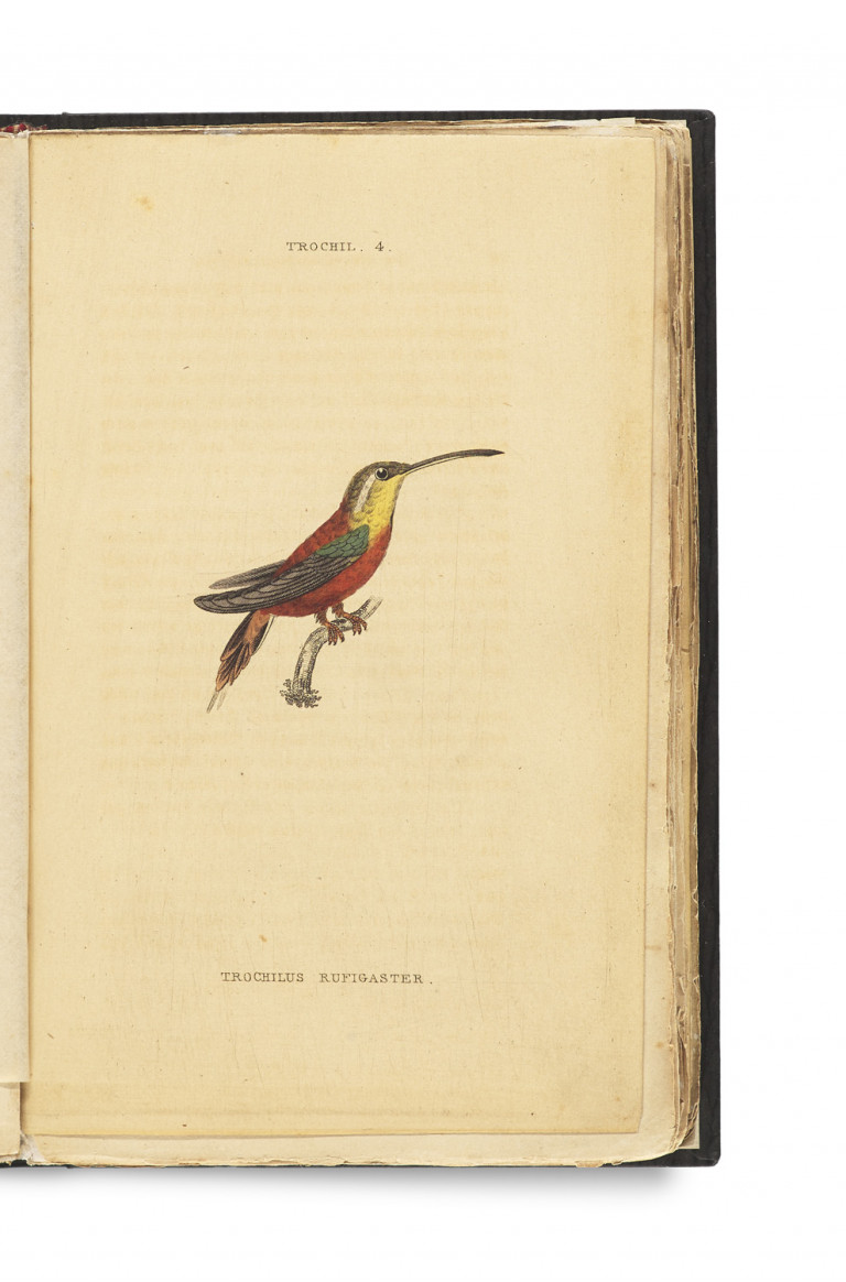 Image:
                        Lot 1418