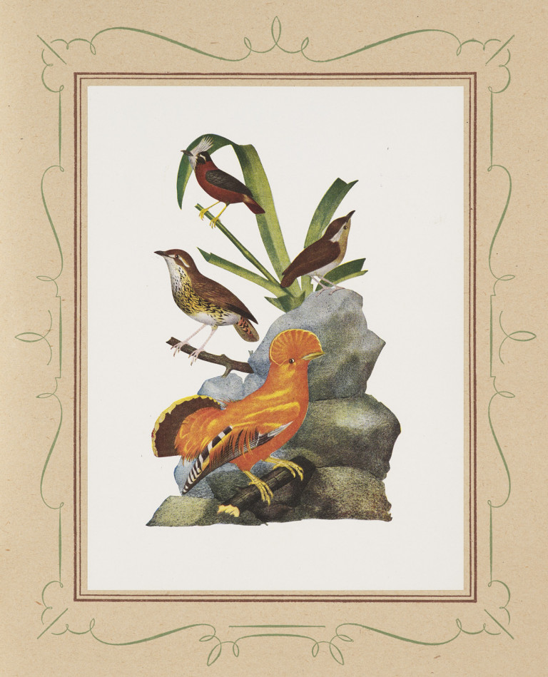Image: 1