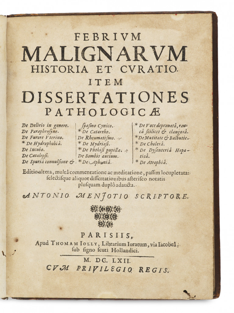 Image:
                        Lot 1295
