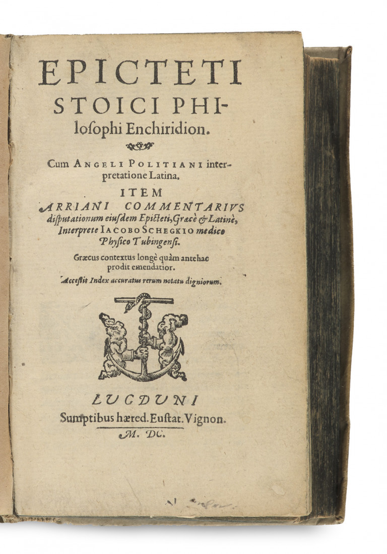 Image:
                        Lot 36