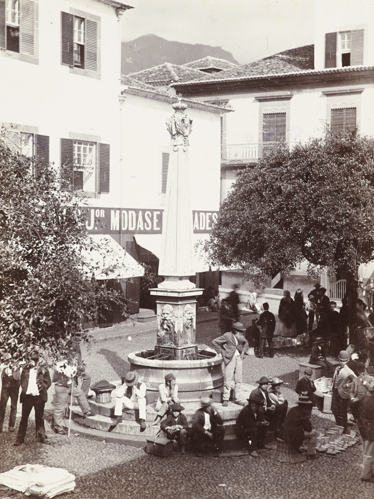 Image:
                        Lot 1739