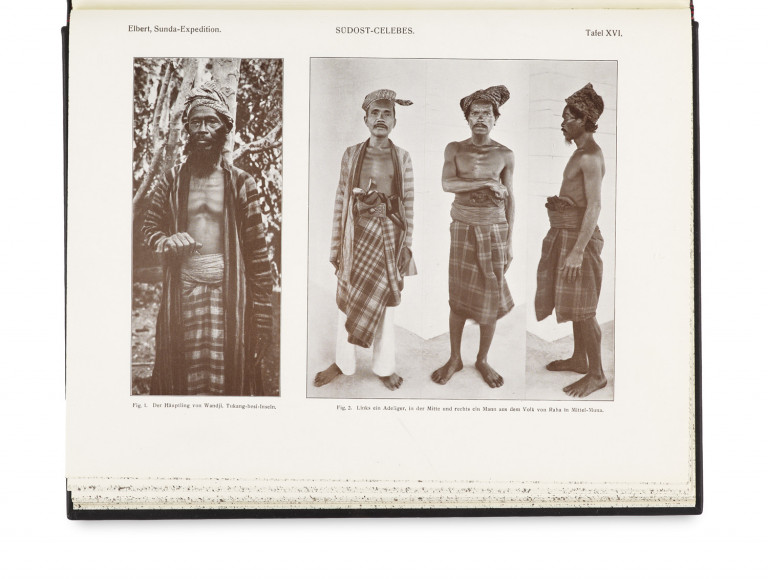 Image:
                        Lot 1561
