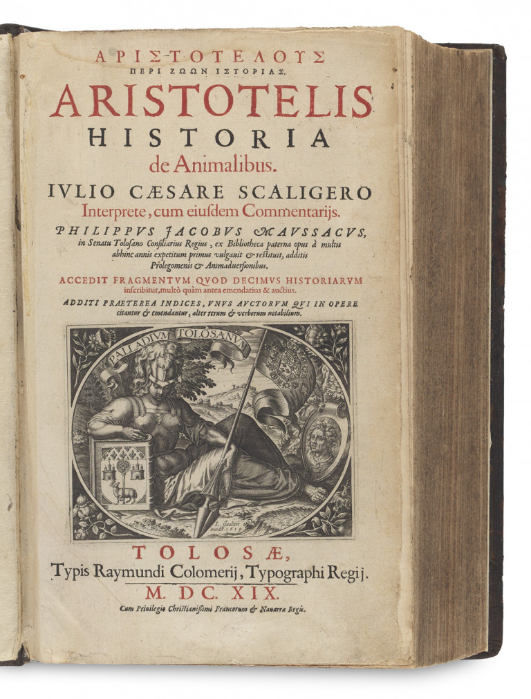 Image: 1