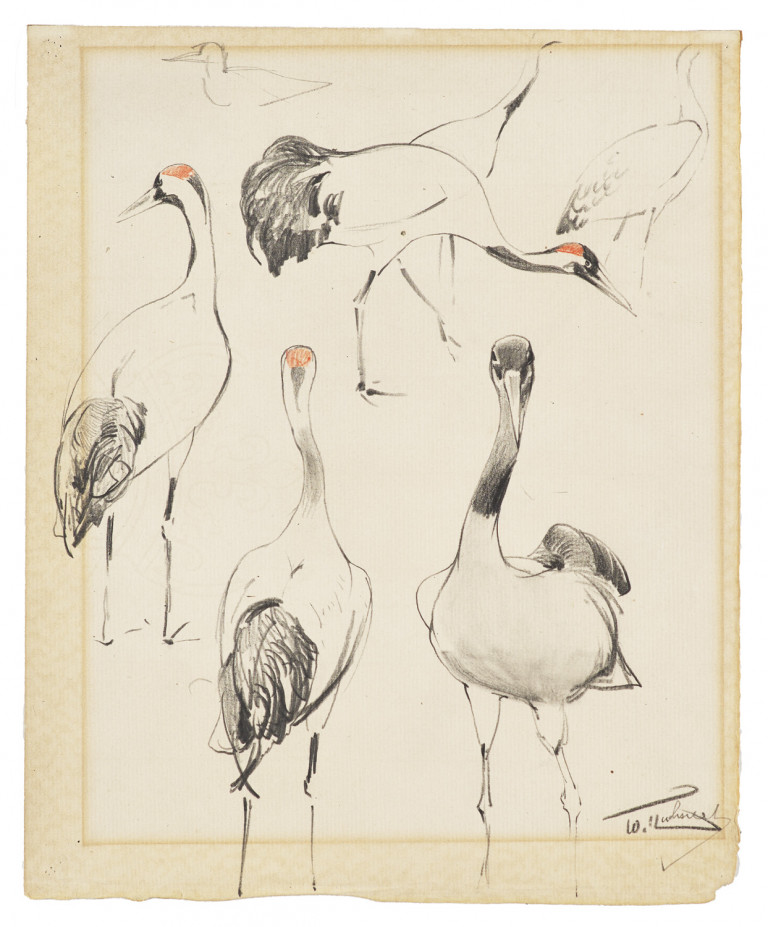Image:
                        Lot 1435