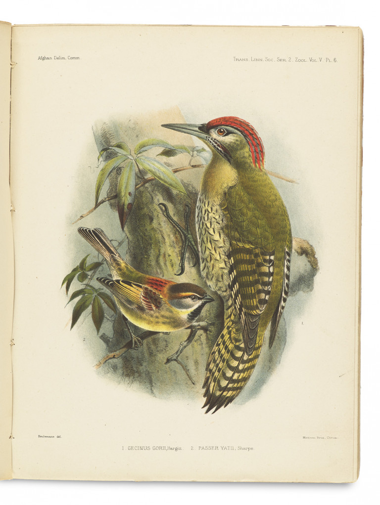 Image: 1