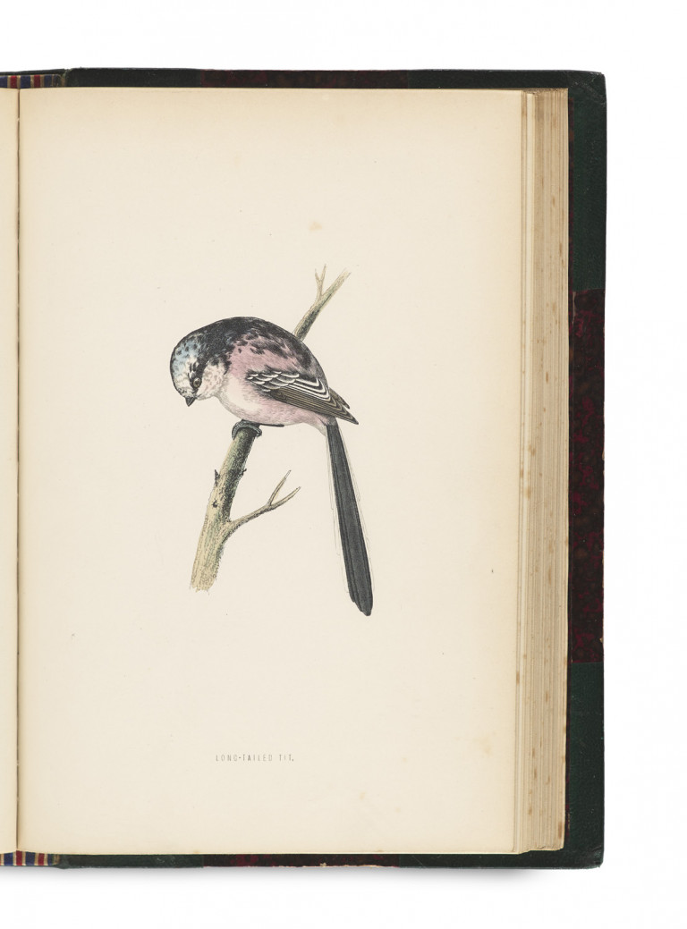 Image: 1