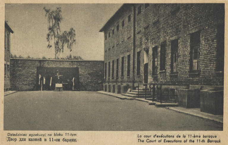 Image:
                        Lot 442