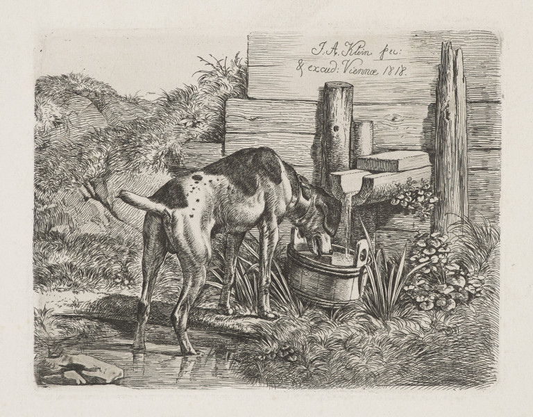 Image: 1