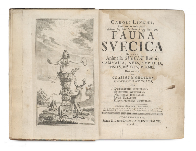 Image:
                        Lot 1343