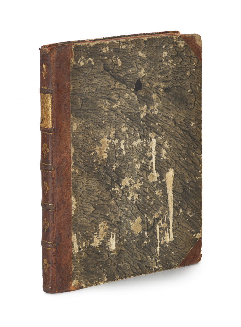 Image:
                        Lot 424