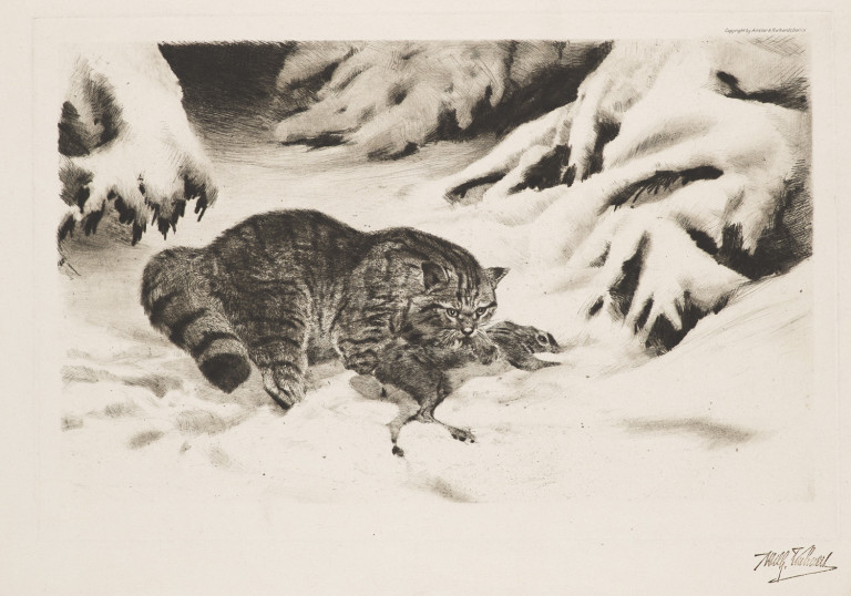 Image:
                        Lot 1439