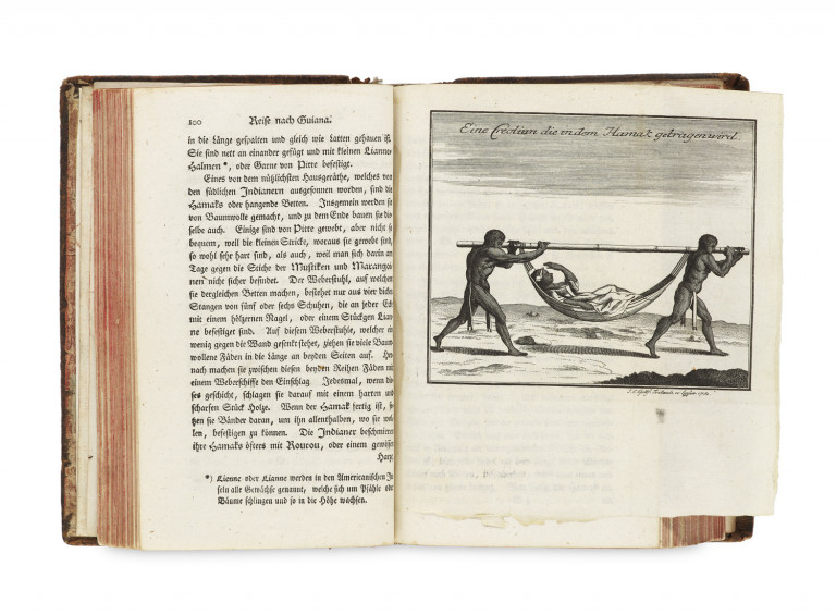 Image:
                        Lot 1644