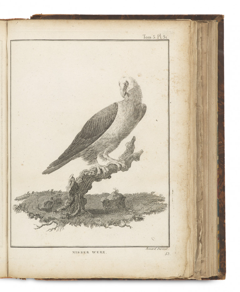 Image:
                        Lot 1471