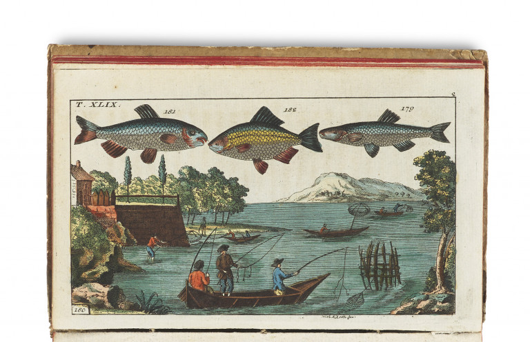 Image:
                        Lot 1407