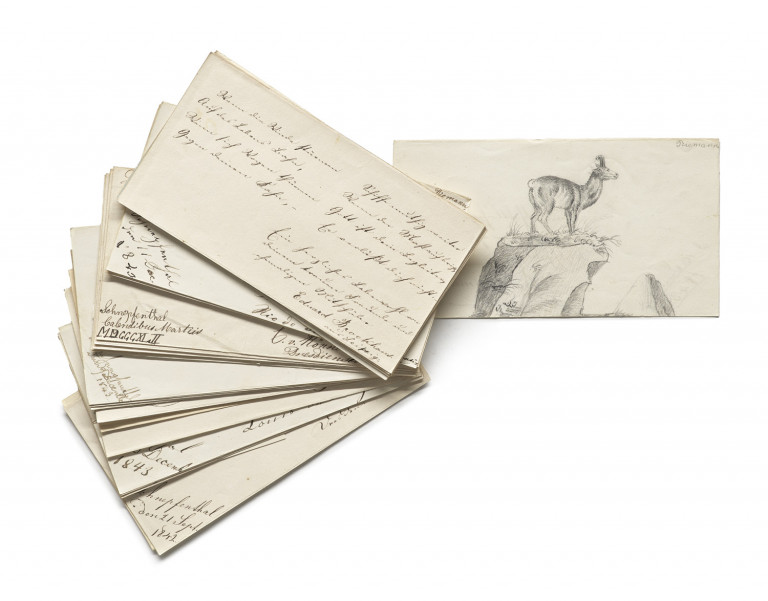 Image:
                        Lot 190