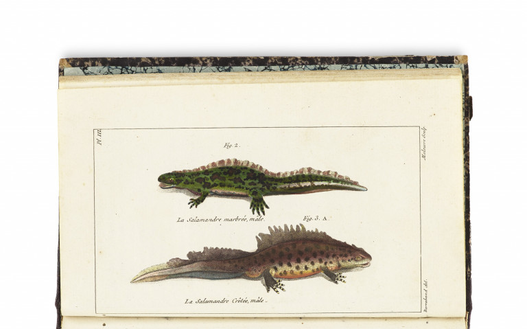Image: 1