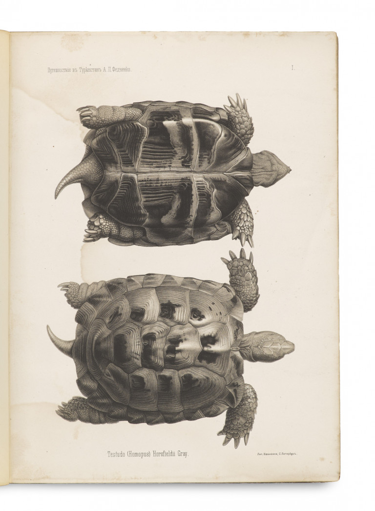 Image:
                        Lot 1384